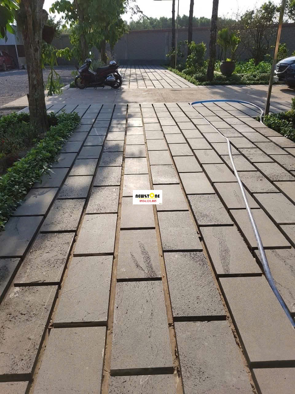 Đá Tổ Ong Lát Nền