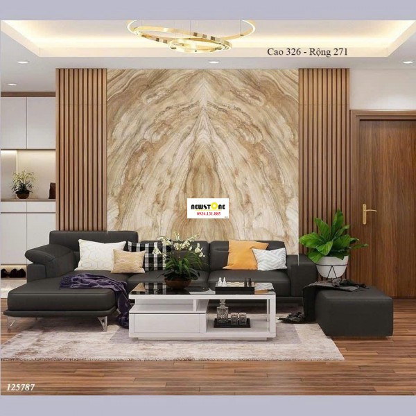 Đá Ốp Phòng Khách