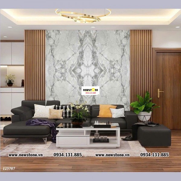 Đá Ốp Phòng Khách